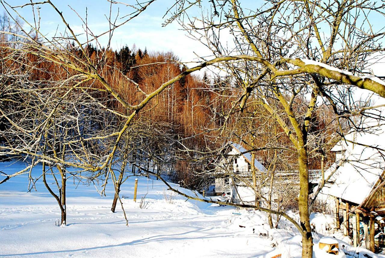 Villa Biotanika Michalkowa Exterior foto